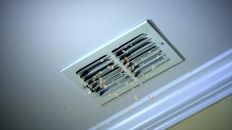 Best Air Duct Cleaning Near Me  in St Martin, MS